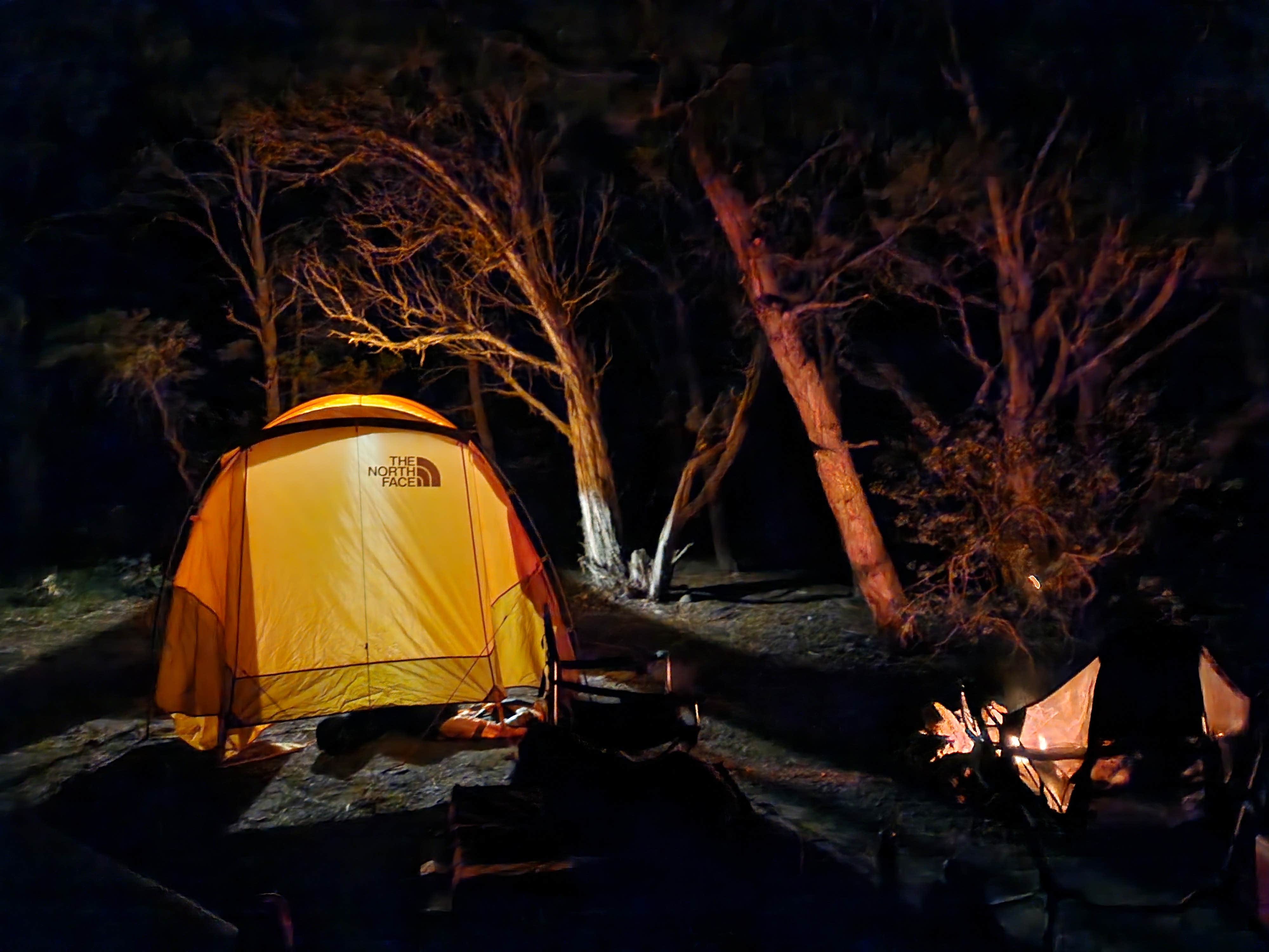 Steph P.'s photo at Black Canyon Dispersed Camping near Crawford, CO