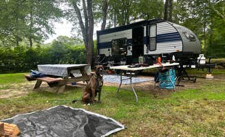 Jessica D.'s photo of camping with pets at Wawaloam Campground near Mystic, CT