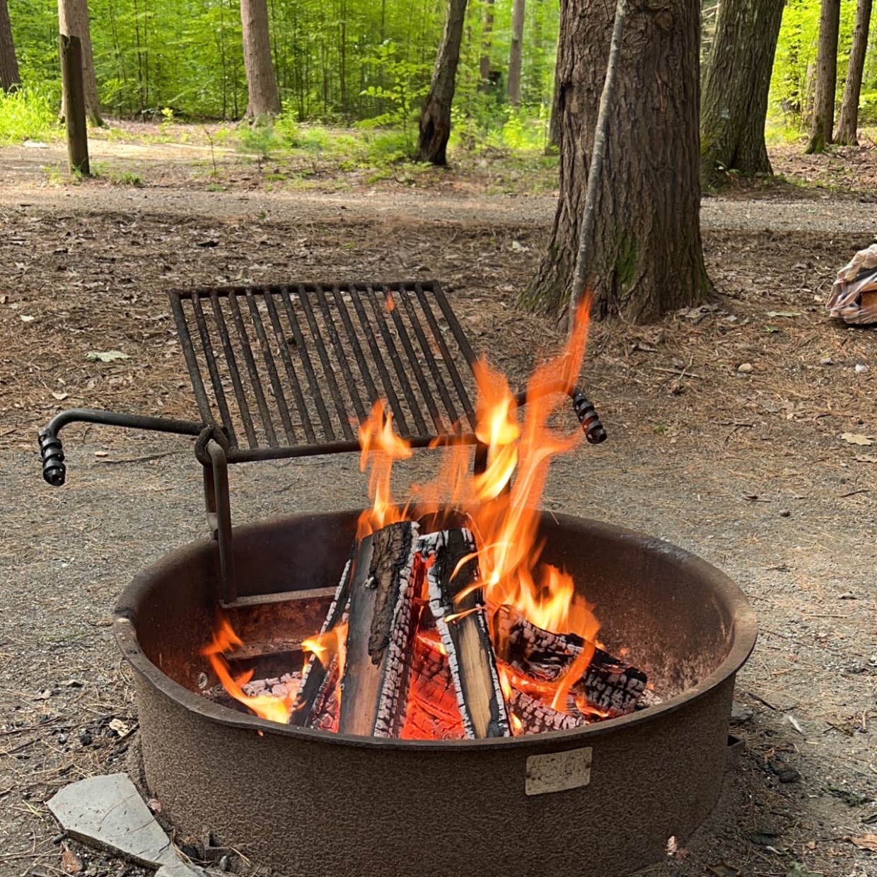 Fort Dummer State Park Campground | Guilford, VT