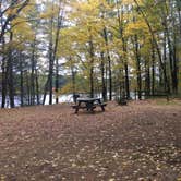 Review photo of Wells State Park Campground by Rachel P., October 29, 2018