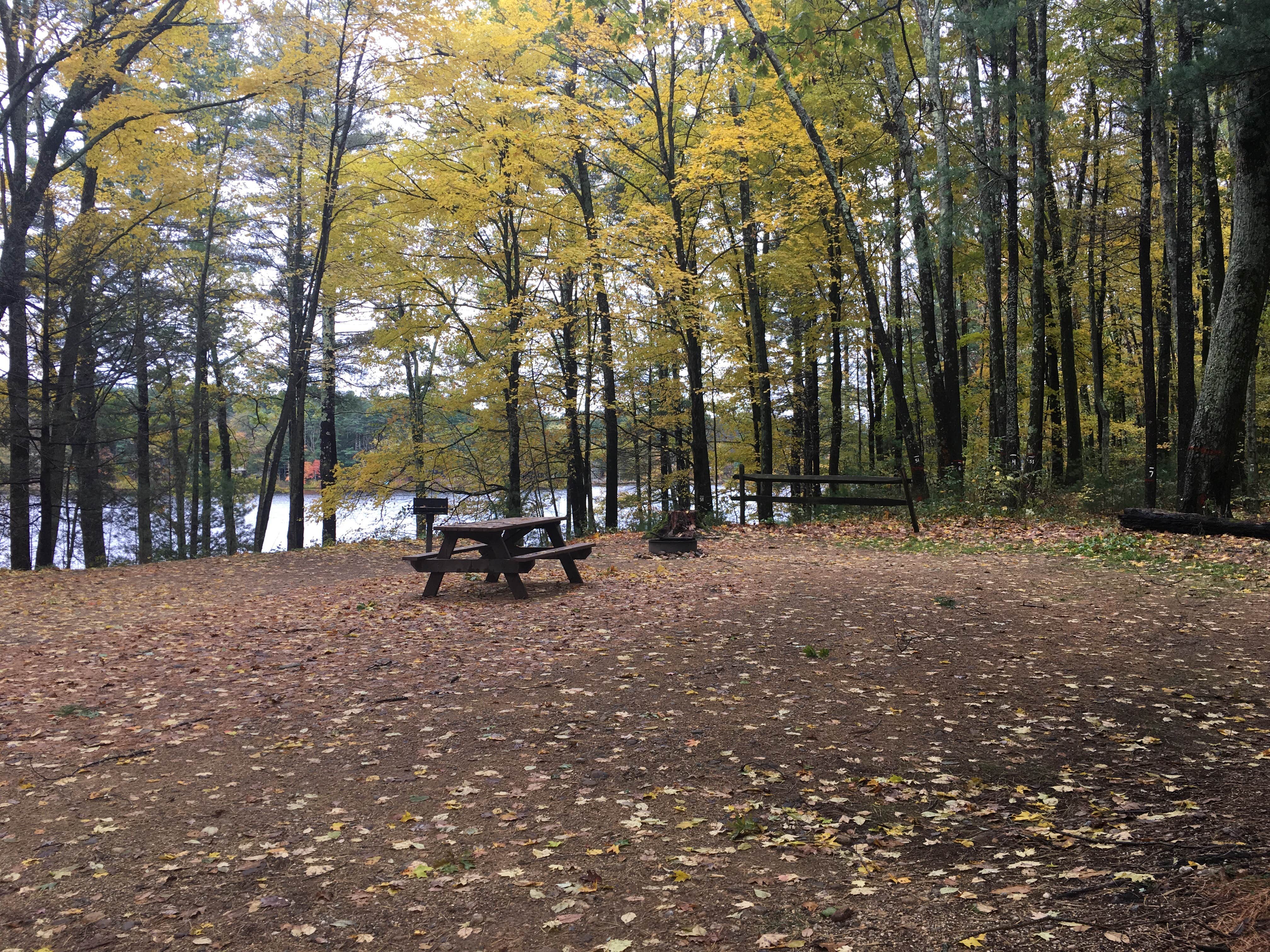 Camper submitted image from Wells State Park Campground - 4