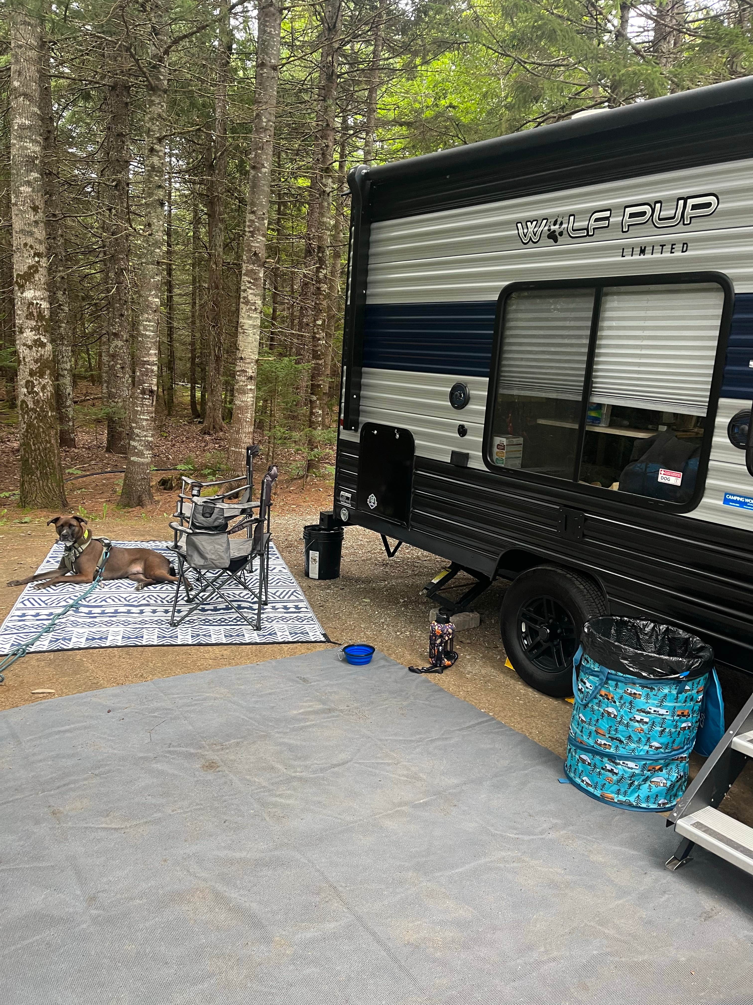 Jessica D.'s photo of camping with pets at Timberland Acres RV Park near Dedham, ME