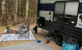 Jessica D.'s photo of camping with pets at Timberland Acres RV Park near Bar Harbor, ME