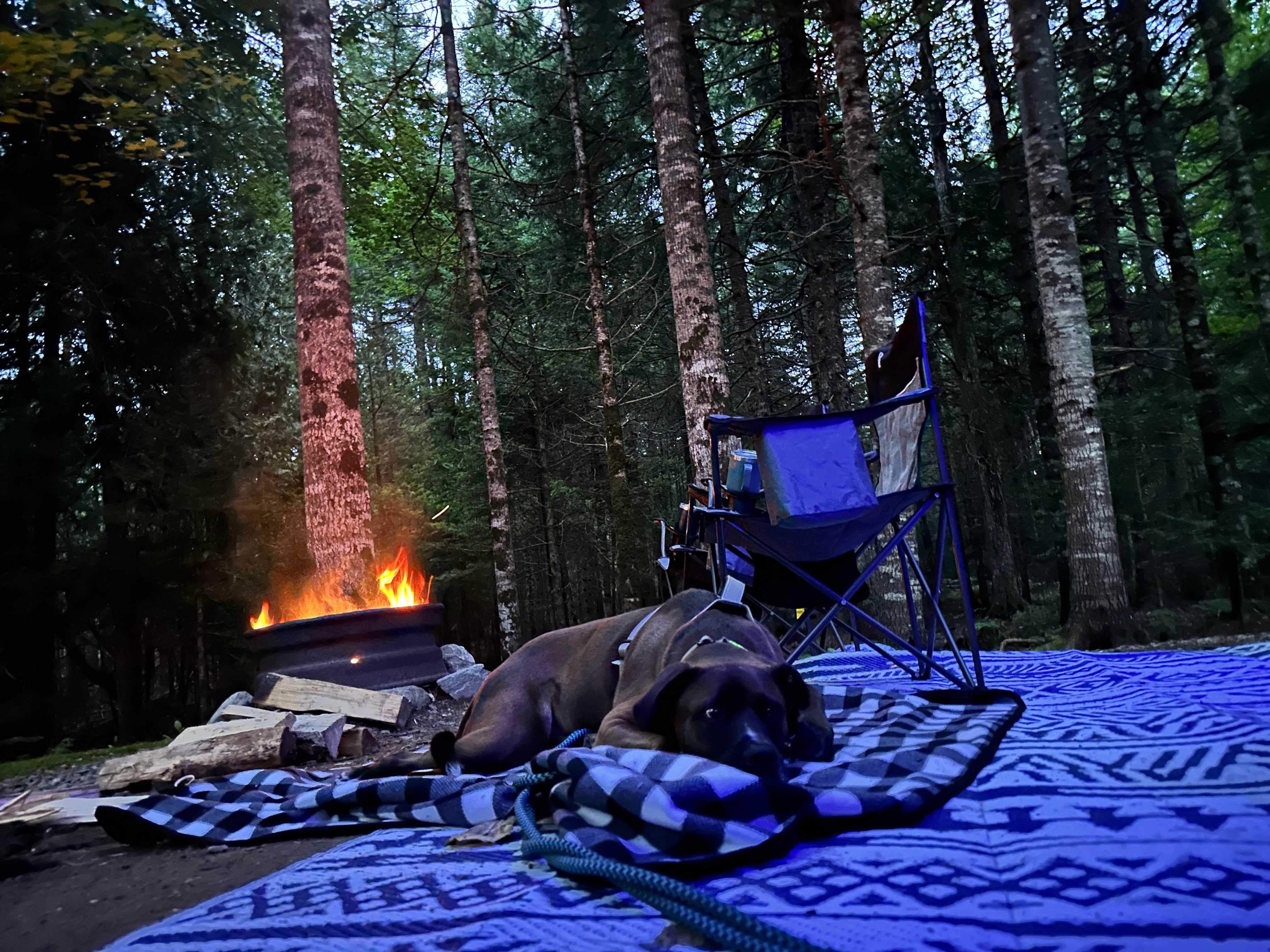 Camper-submitted photo at Timberland Acres RV Park near Salsbury Cove, ME