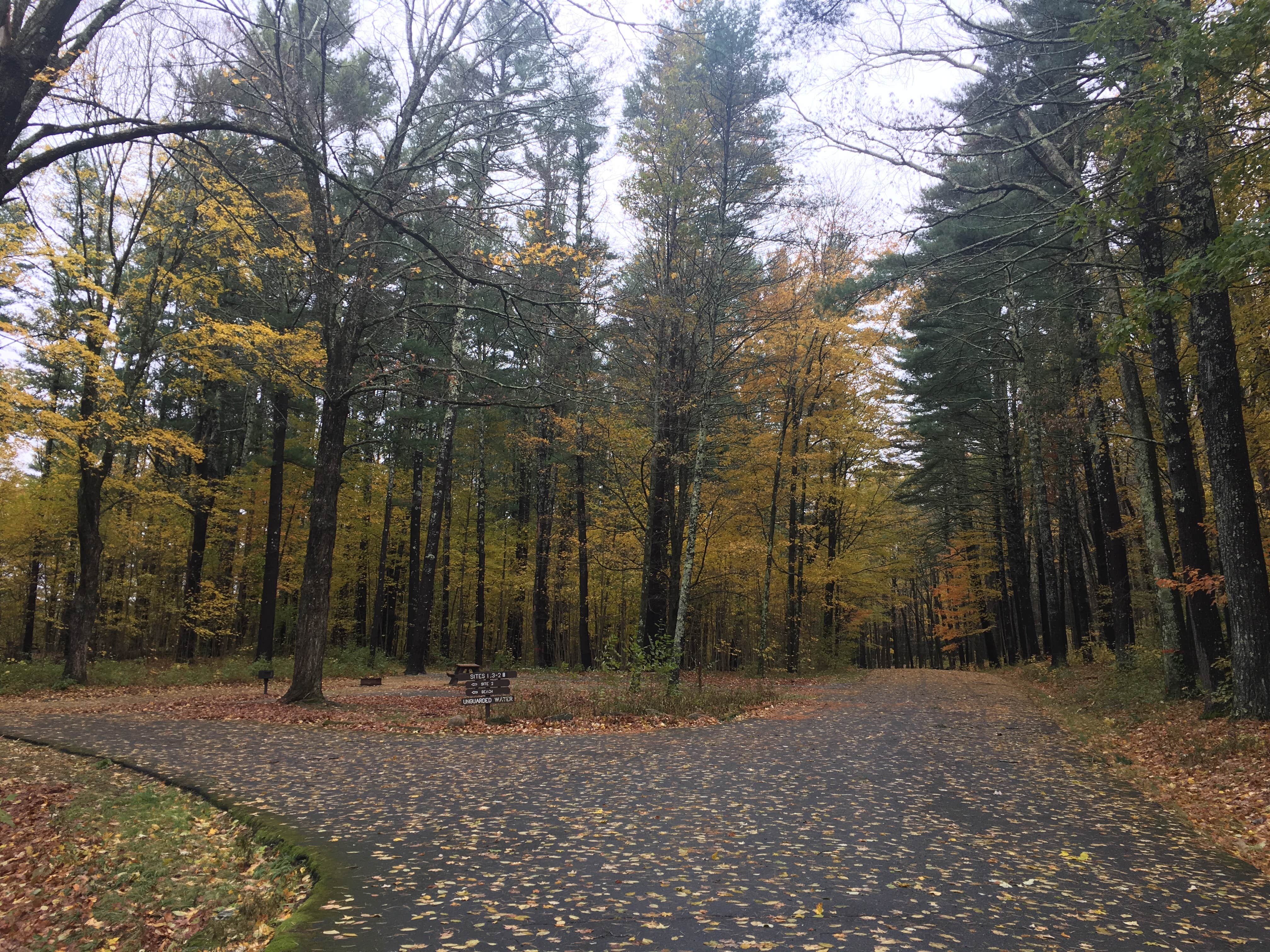 Camper-submitted photo at Wells State Park Campground near Millville, MA