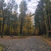Review photo of Wells State Park Campground by Rachel P., October 29, 2018