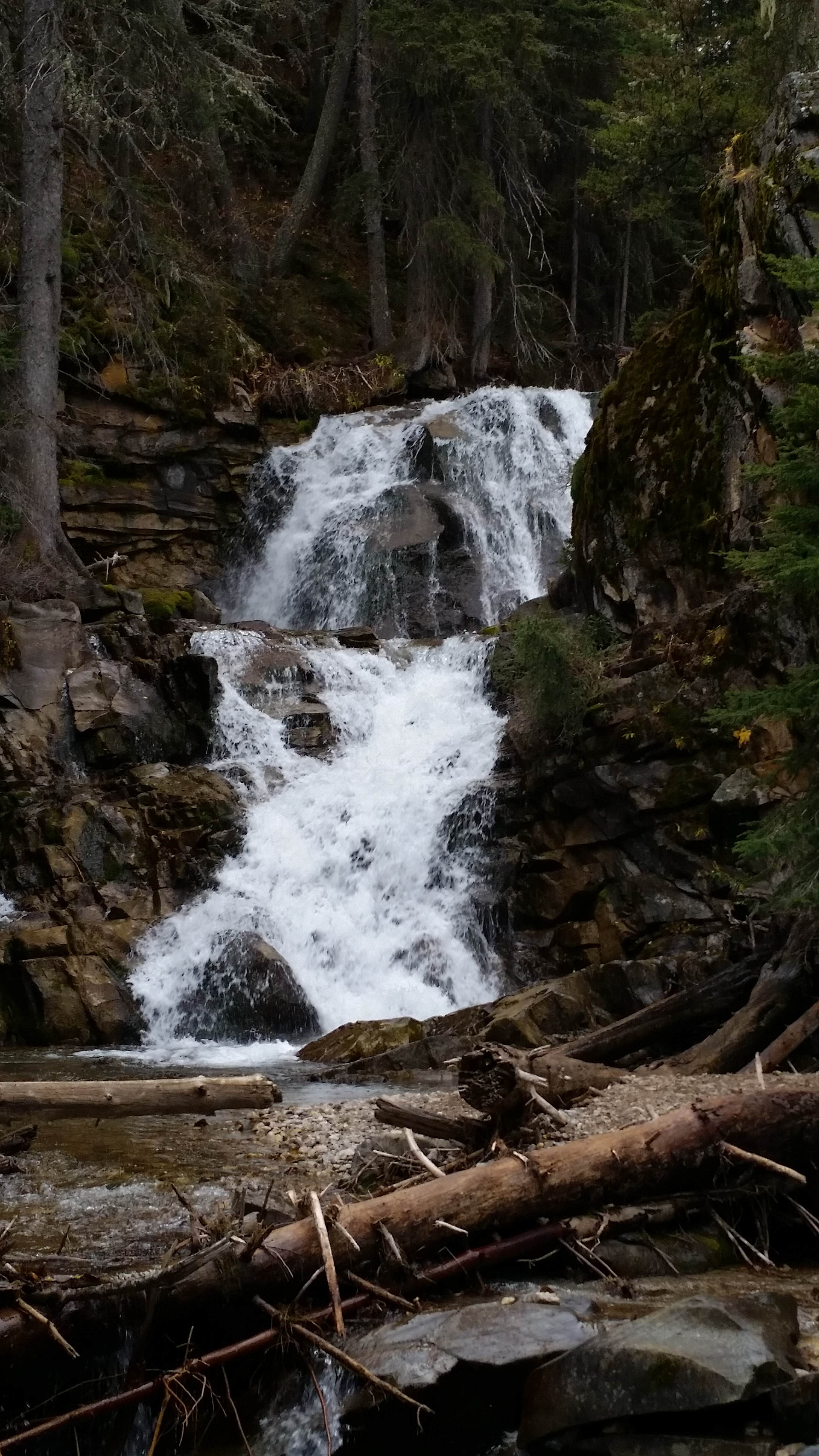 Camper submitted image from Double Falls Campground - 3