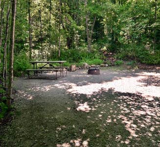 Camper-submitted photo from Gifford Woods State Park Campground