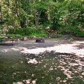 Review photo of Molly Stark State Park Campground by Jessica D., August 21, 2023