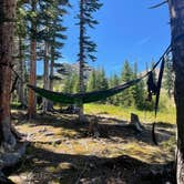 Review photo of Fall River Reservoir Dispersed Camping Trail by kate B., August 21, 2023
