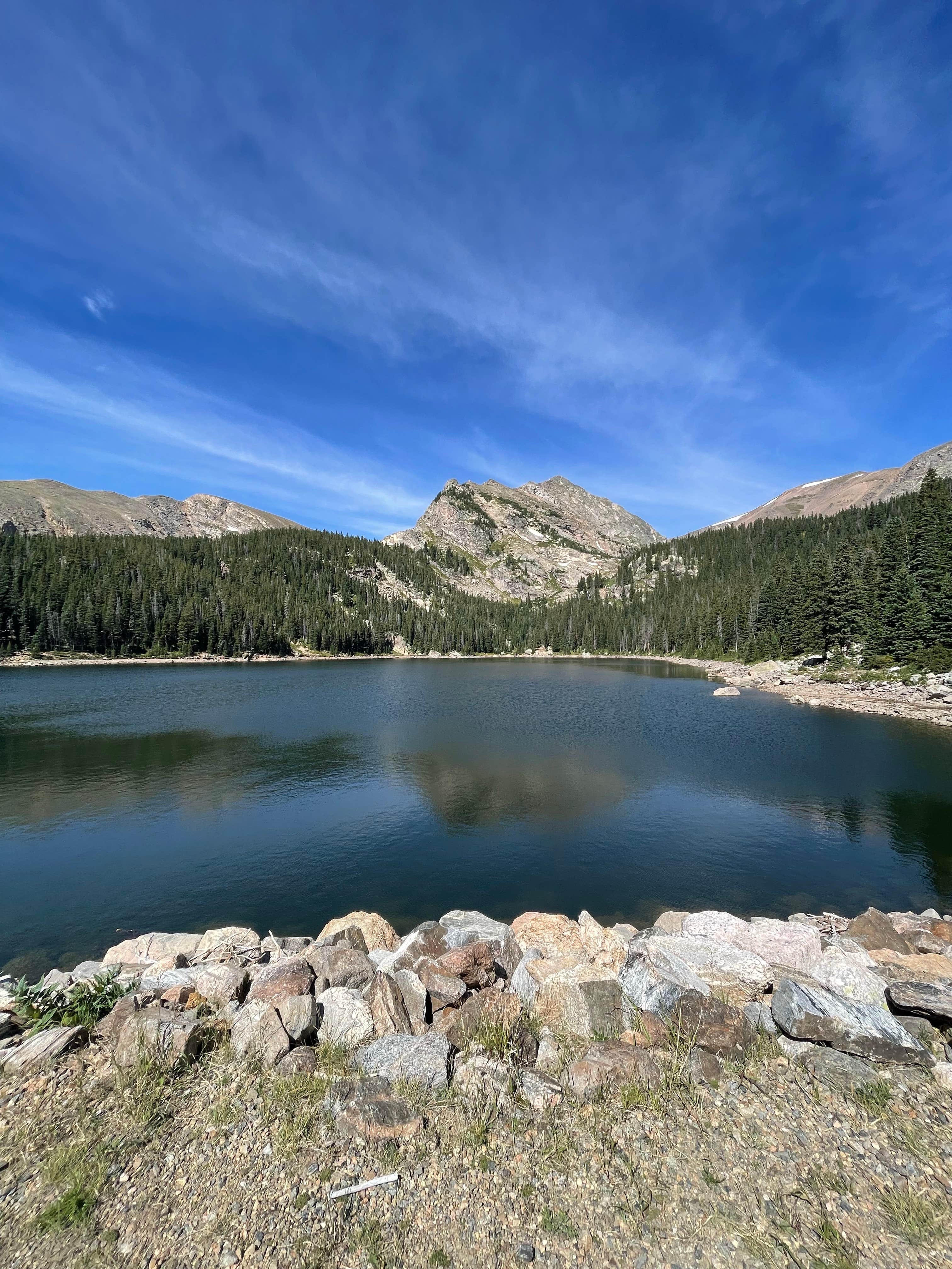 kate B.'s photo of a dispersed camping area at Fall River Reservoir Dispersed Camping Trail near Black Hawk, CO