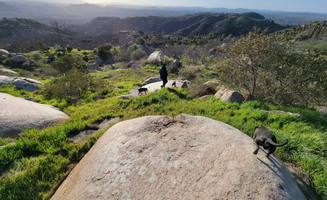 Aidan P.'s photo of camping with pets at Van Life Campgrounds: Fallbrook near Oceanside, CA