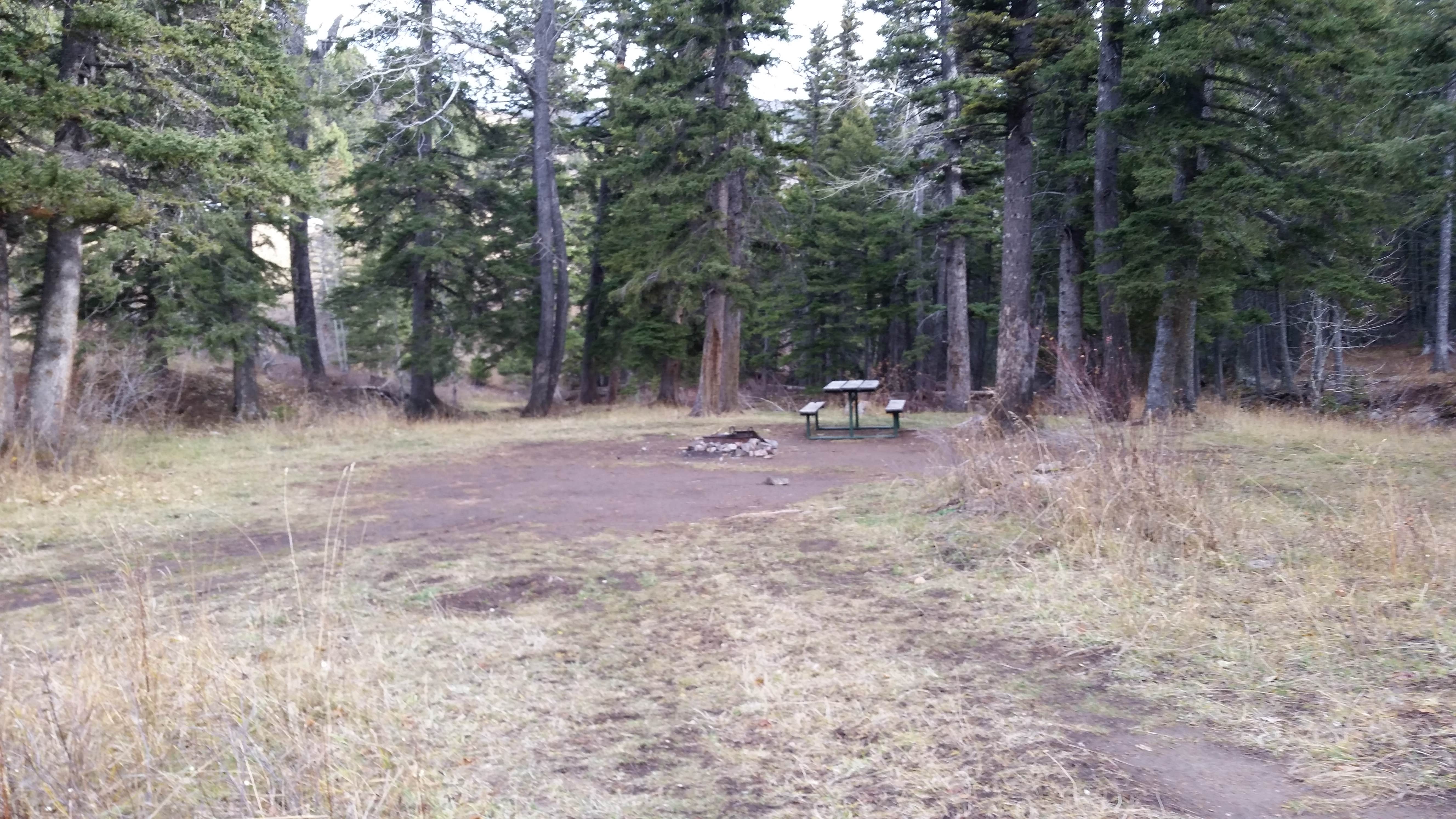 Camper-submitted photo at Double Falls Campground near Lincoln, MT