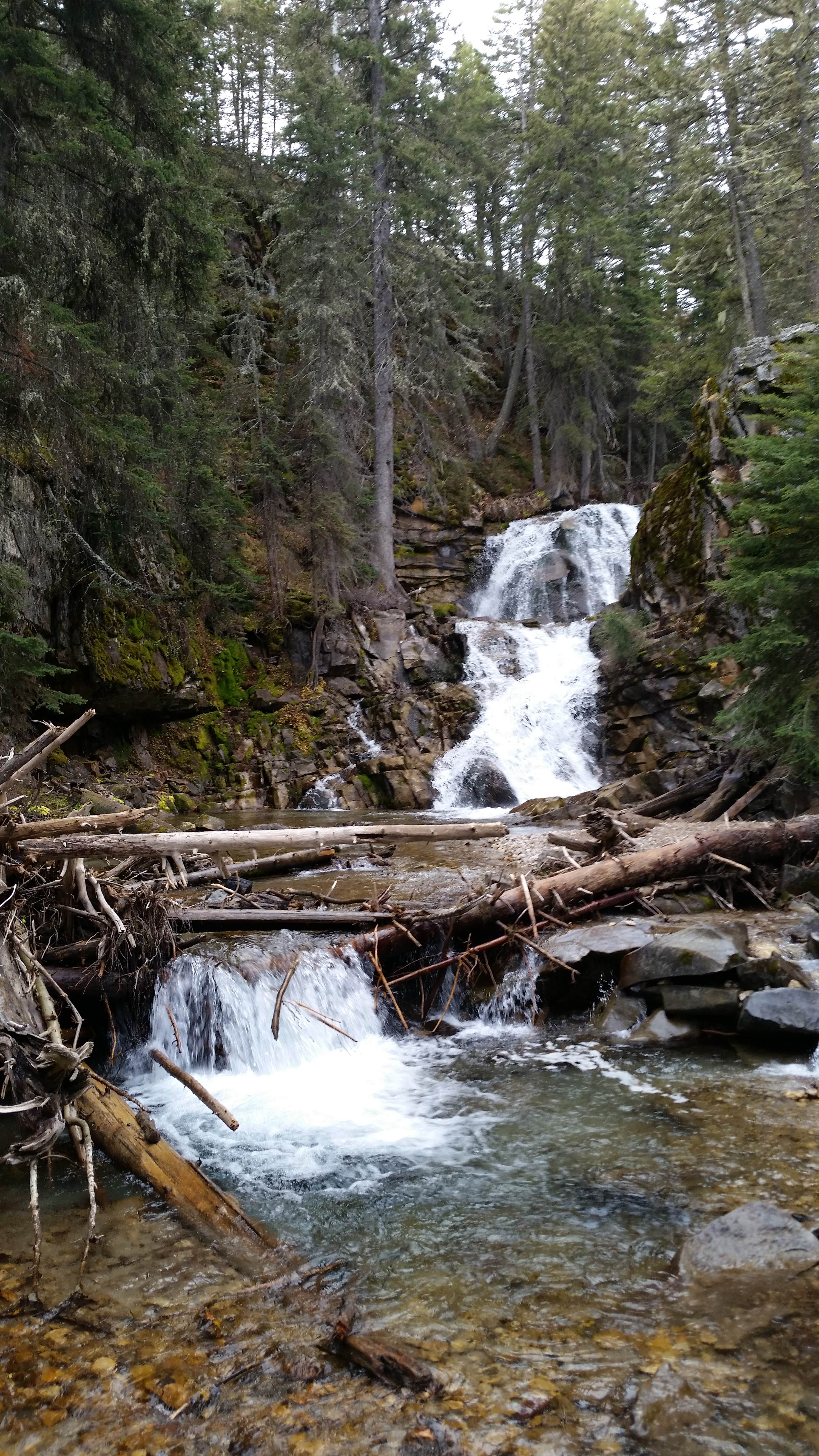 Camping near Kenck Cabin: Double Falls Campground, Augusta, Montana