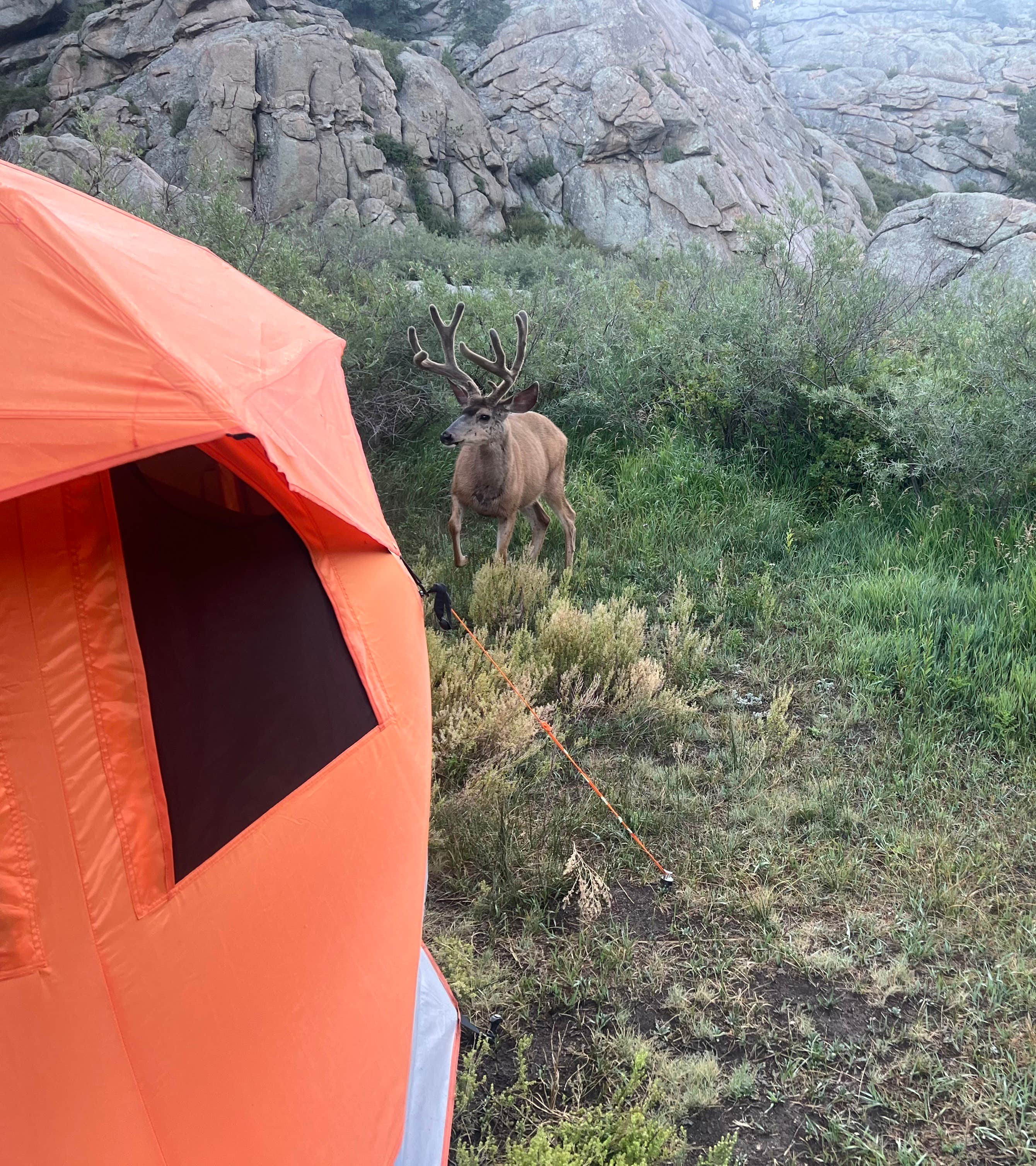 Donna A.'s photo at Spillway Campground near Lake George, CO