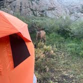 Review photo of Spillway Campground by Donna A., August 22, 2023