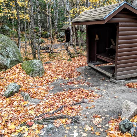 Abol campground Clearance