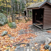 Review photo of Abol Campground — Aroostook State Park by Shari  G., October 29, 2018