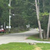 Review photo of Raccoon Mountain Caverns and Campground by Shirley S., August 22, 2023