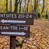Review photo of Abol Campground — Aroostook State Park by Shari  G., October 29, 2018