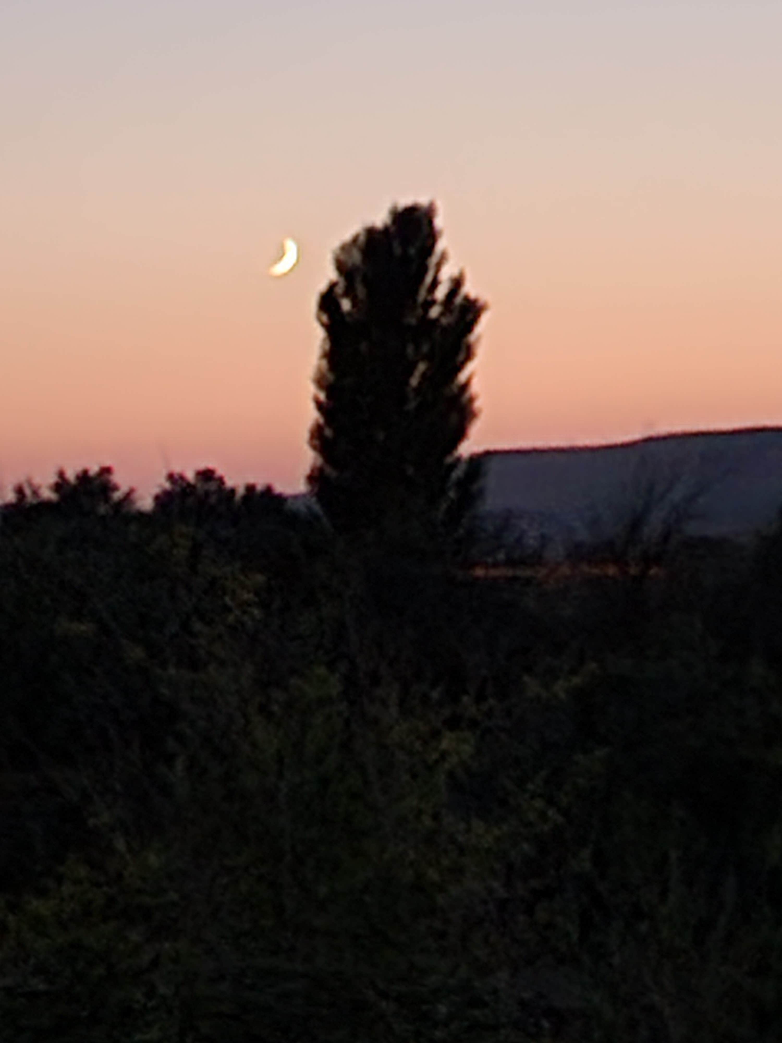 Camper-submitted photo at Frank C Jones King Hill Area near Corral, ID