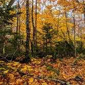 Review photo of Abol Campground — Aroostook State Park by Shari  G., October 29, 2018