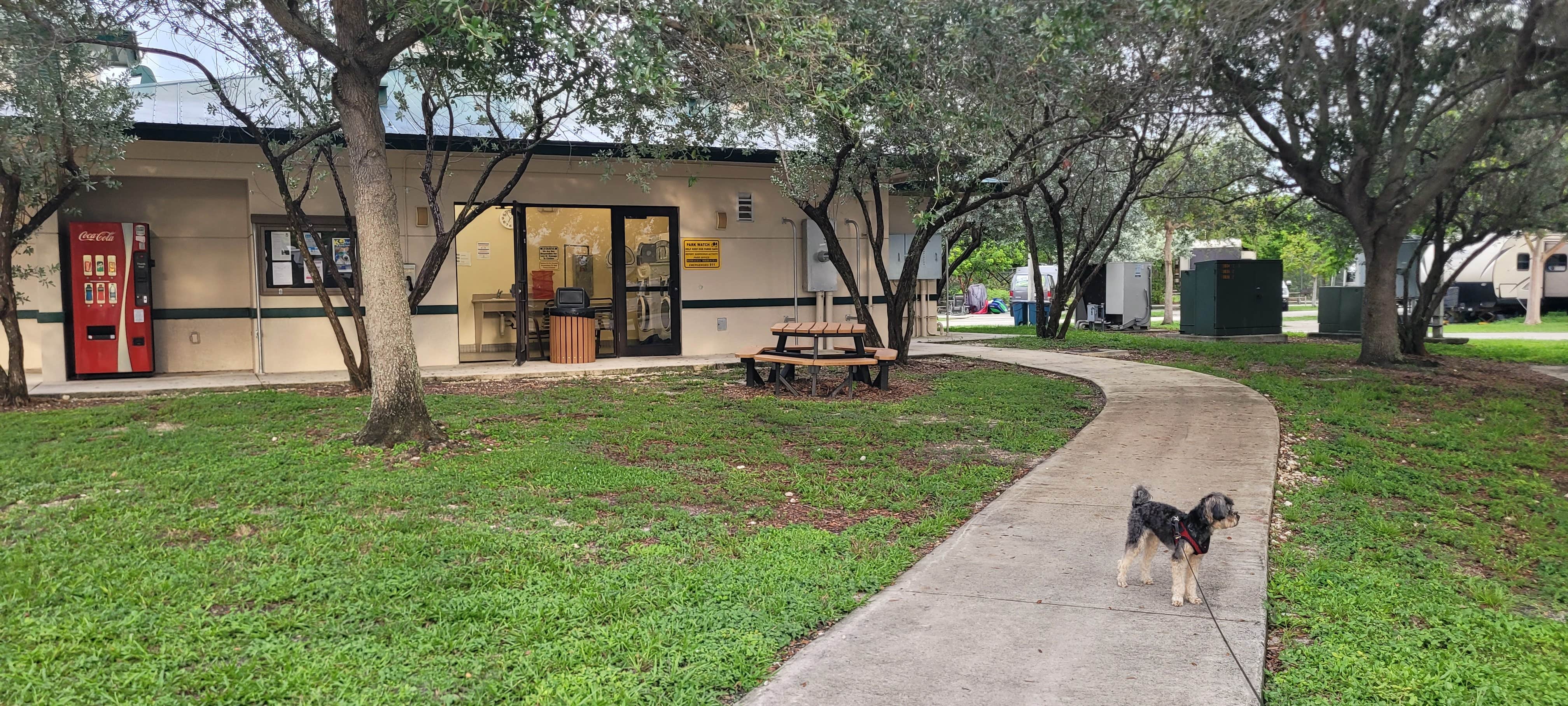 Polliane M.'s photo of camping with pets at Topeekeegee Yugnee Park Campground near Fort Lauderdale, FL