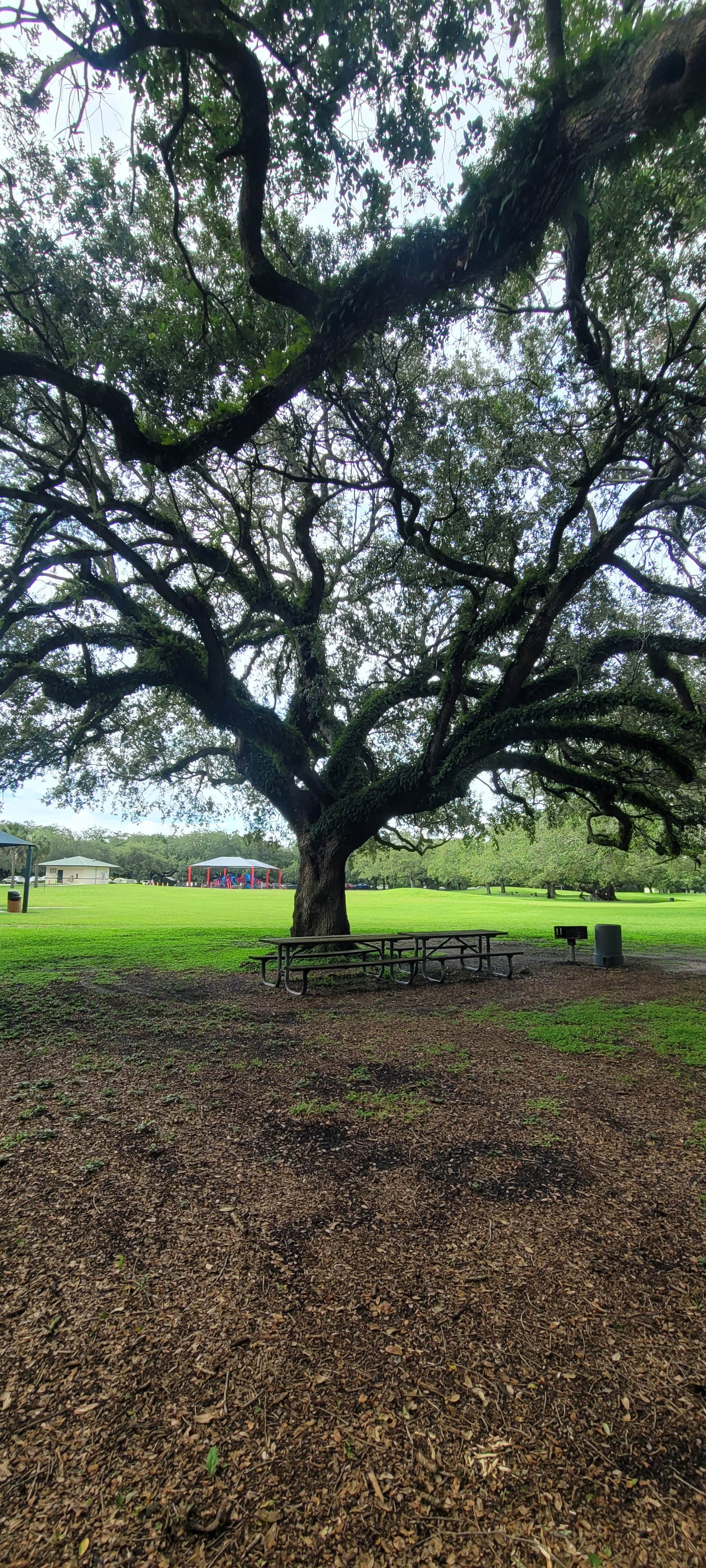 Camper-submitted photo at Topeekeegee Yugnee Park Campground near North Miami, FL