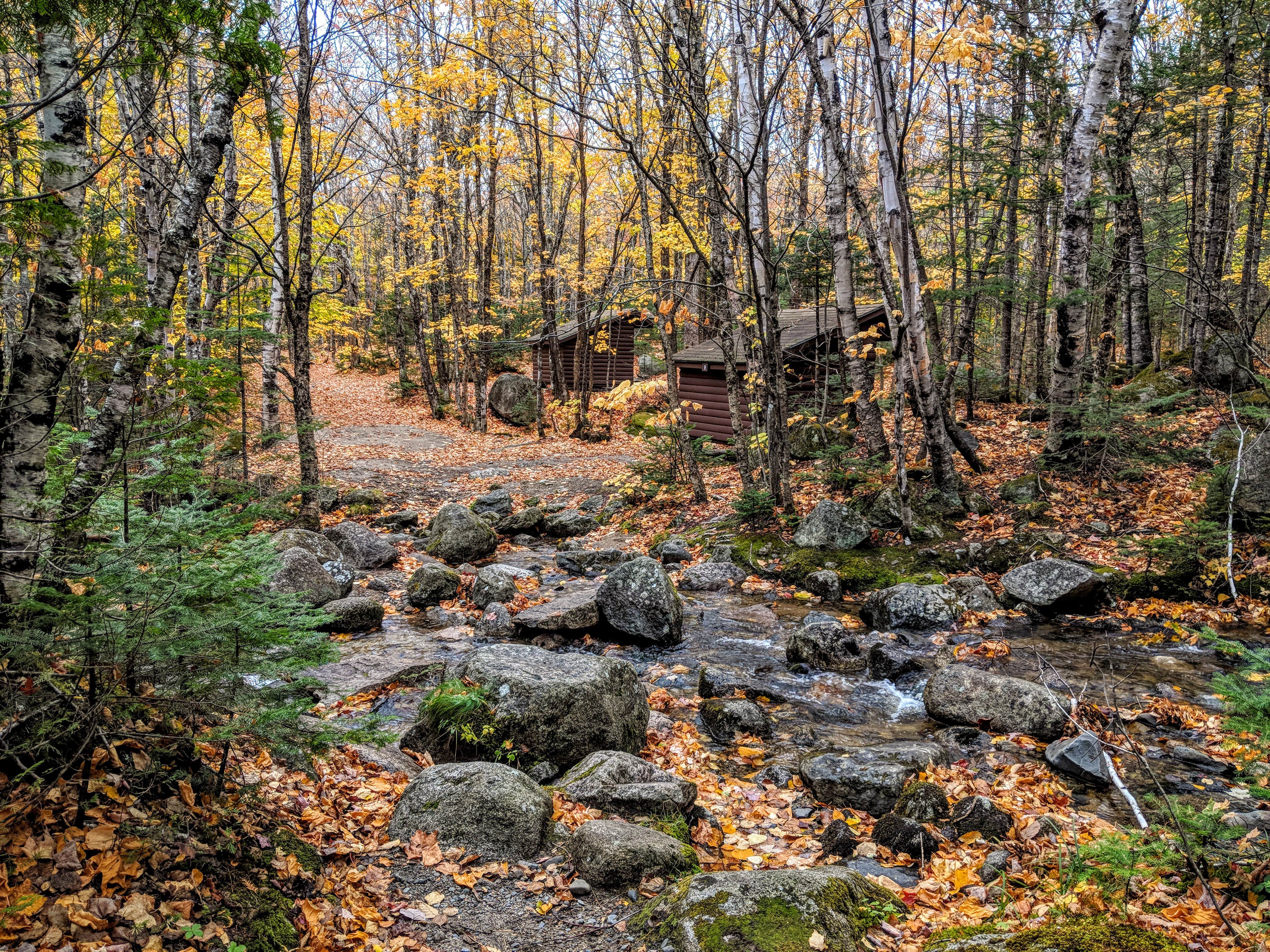 Camper submitted image from Abol Campground — Baxter State Park - 5