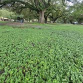 Review photo of Topeekeegee Yugnee Park Campground by Polliane M., August 22, 2023