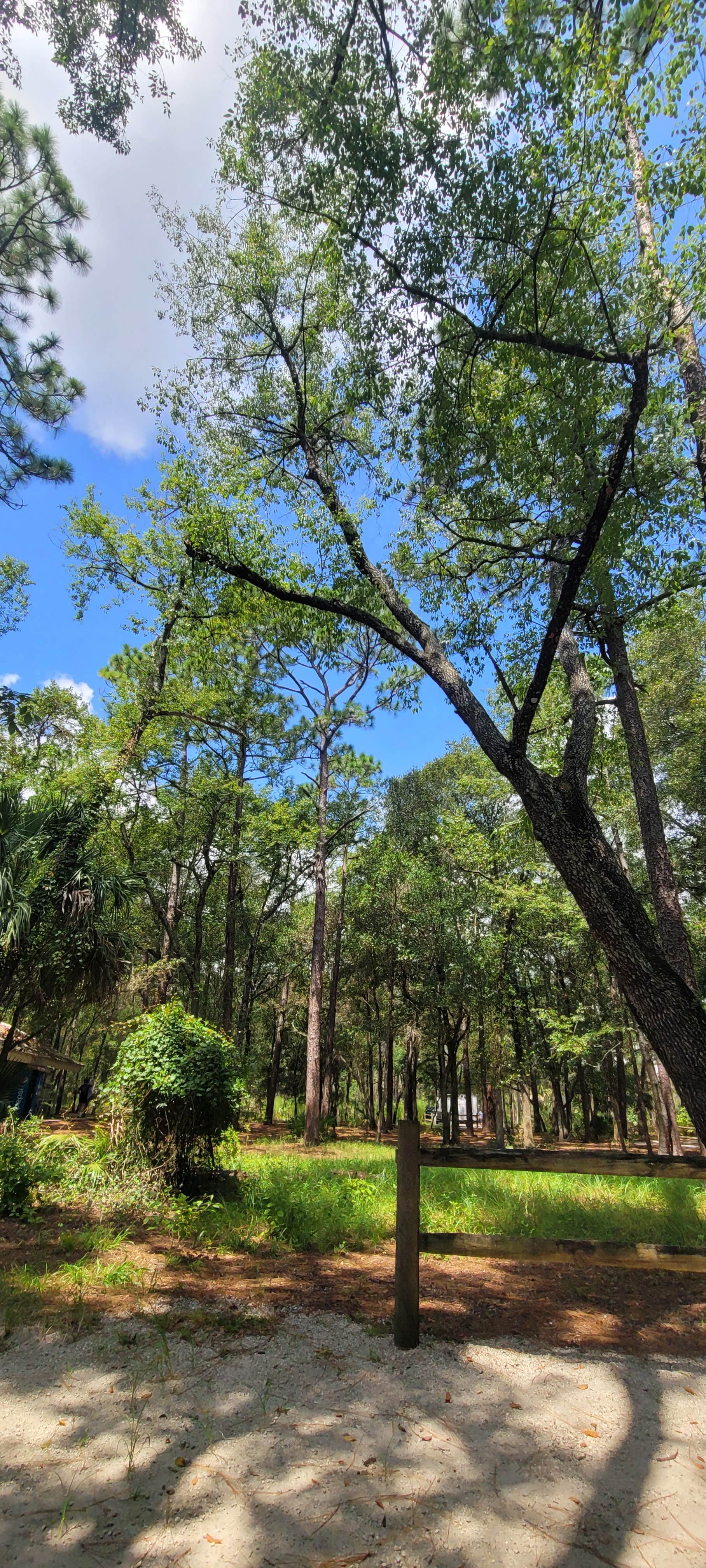 Camper-submitted photo at Topeekeegee Yugnee Park Campground near North Miami, FL