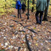 Review photo of Squam Lakes Association by Shari  G., October 29, 2018