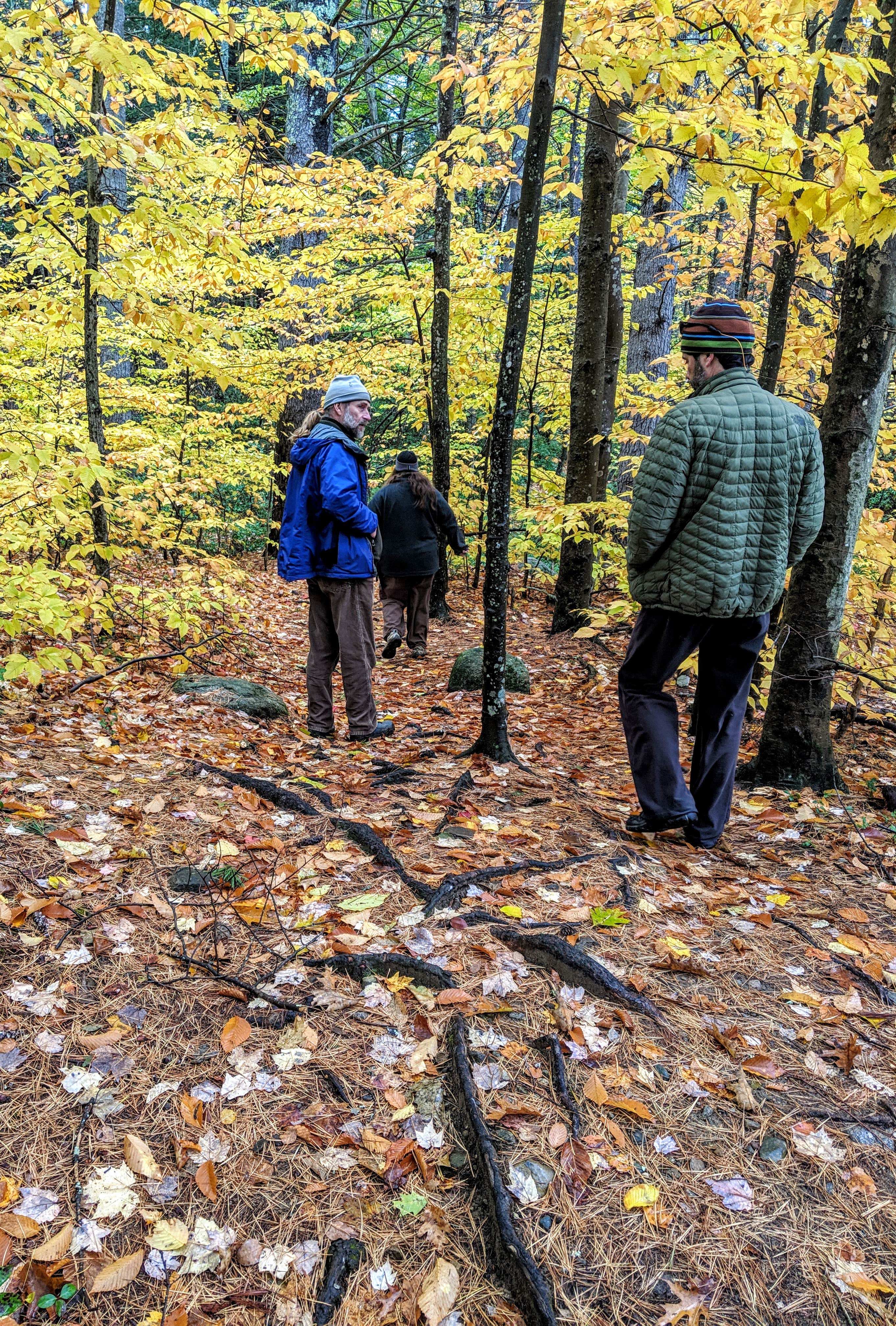 Camper submitted image from Squam Lakes Association - 4