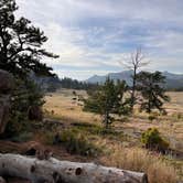 Review photo of Forest Service Road 700 Designated Dispersed Camping by Landon C., August 22, 2023