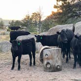 Review photo of Dispersed Camping Vedauwoo Road by Landon C., August 22, 2023