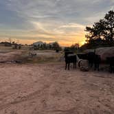 Review photo of Dispersed Camping Vedauwoo Road by Landon C., August 22, 2023