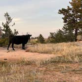 Review photo of Dispersed Camping Vedauwoo Road by Landon C., August 22, 2023