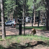 Review photo of Diamond Campground & RV Park by Landon C., August 22, 2023