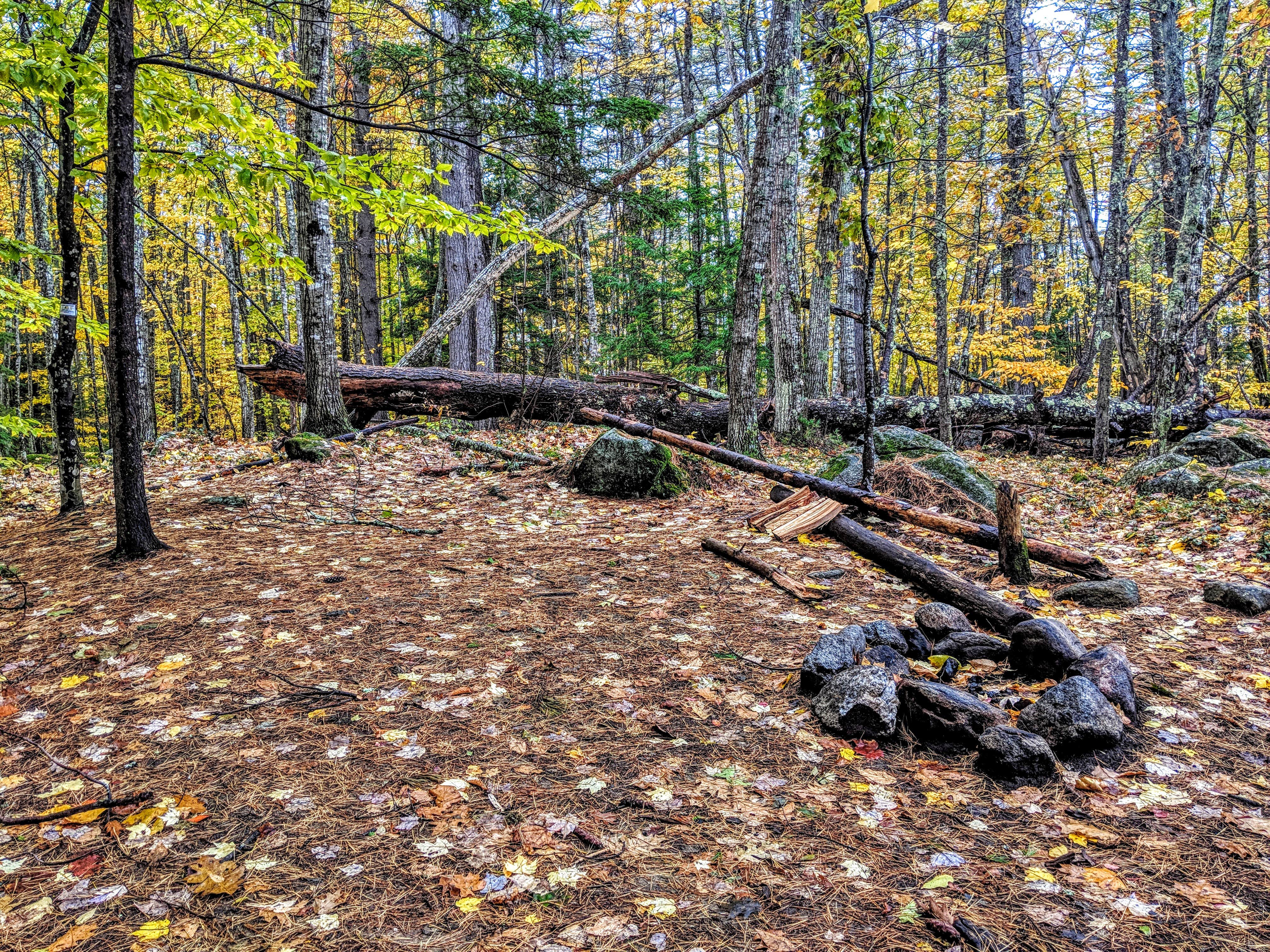 Camper-submitted photo at Squam Lakes Association near Belmont, NH