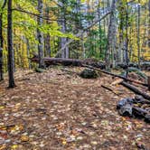 Review photo of Squam Lakes Association by Shari  G., October 29, 2018