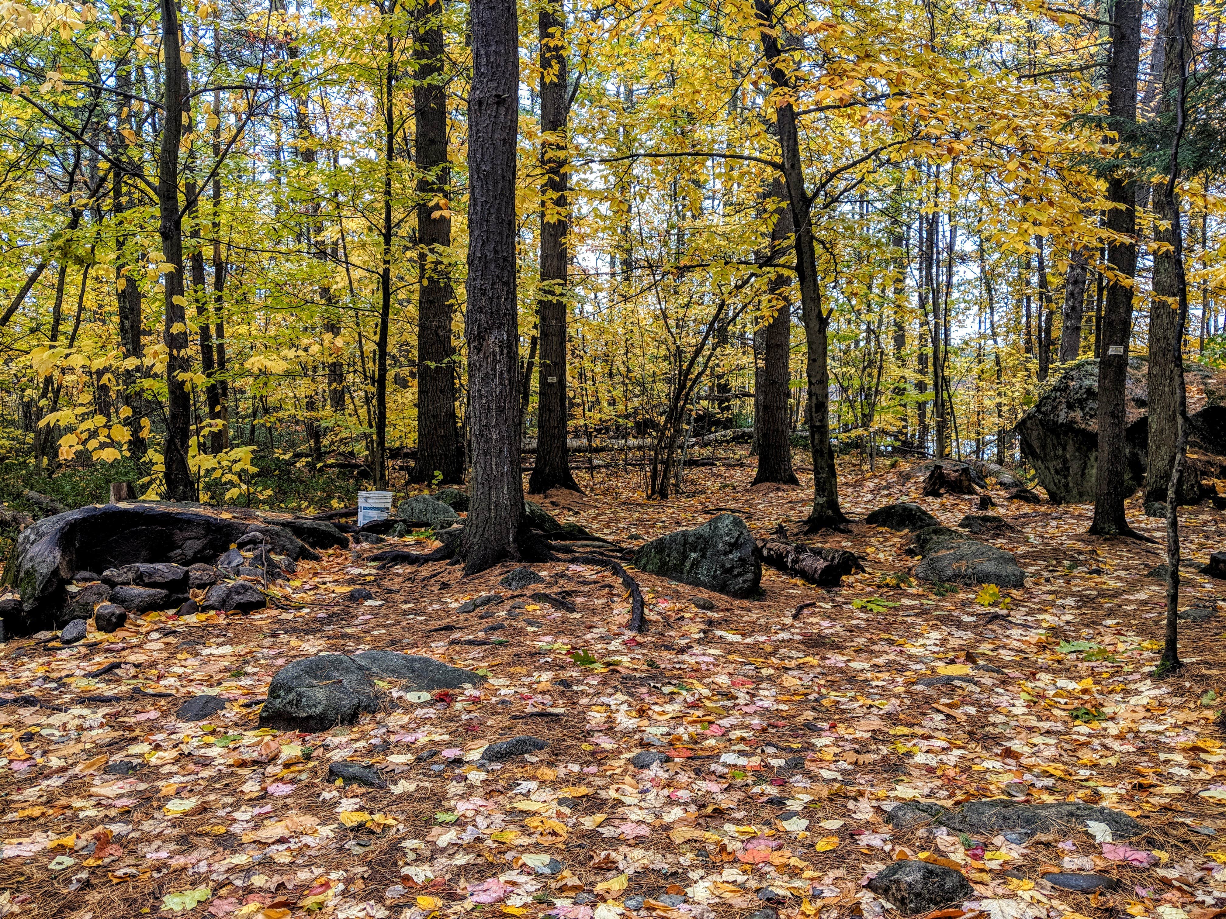 Camper-submitted photo at Squam Lakes Association near Belmont, NH