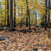 Review photo of Squam Lakes Association by Shari  G., October 29, 2018