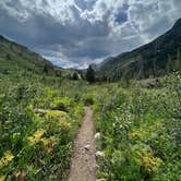 Review photo of Sunset Point Campground by Anna S., August 22, 2023