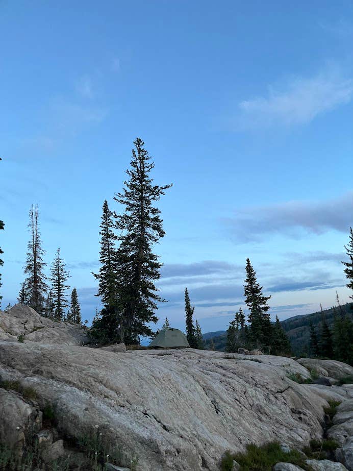 Camper-submitted photo at Buffalo Pass Dispersed near Coalmont, CO