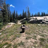 Review photo of Buffalo Pass Dispersed by Anna S., August 22, 2023