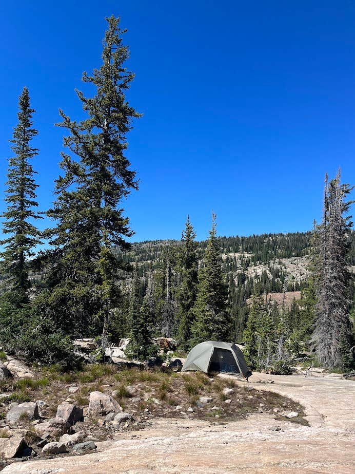 Camper-submitted photo at Buffalo Pass Dispersed near Hayden, CO