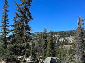 Buffalo Pass Dispersed