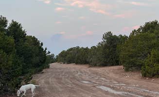 Austin and Christel S.'s photo of camping with pets at Dispersed Camping off FS 542 near Tijeras, NM