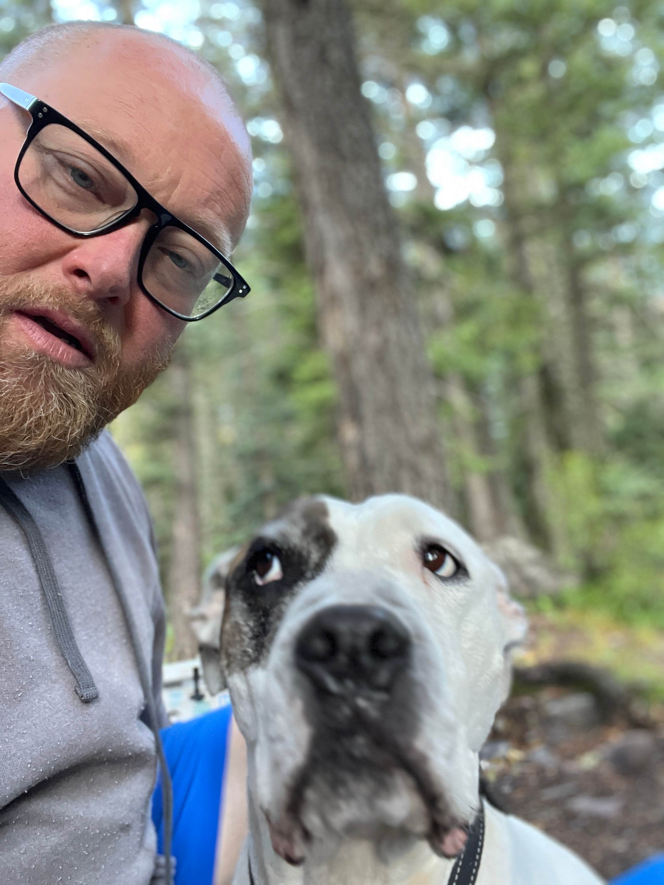 Austin and Christel S.'s photo of camping with pets at West Fork Dispersed near Pagosa Springs, CO