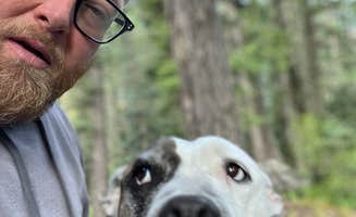 Austin and Christel S.'s photo of camping with pets at West Fork Dispersed near Pagosa Springs, CO